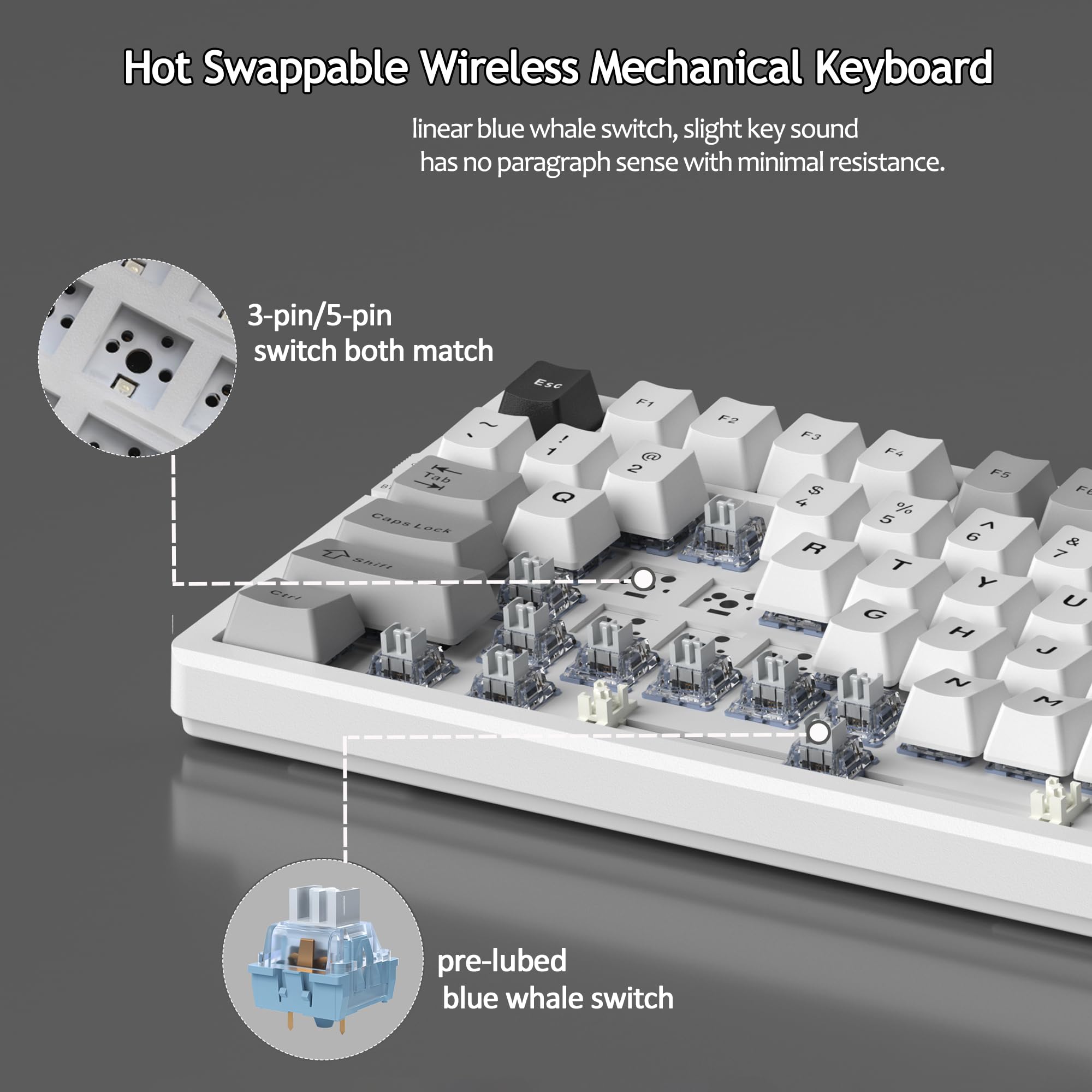 LIGHT100 Wireless Creamy Keyboard (8000mAh)