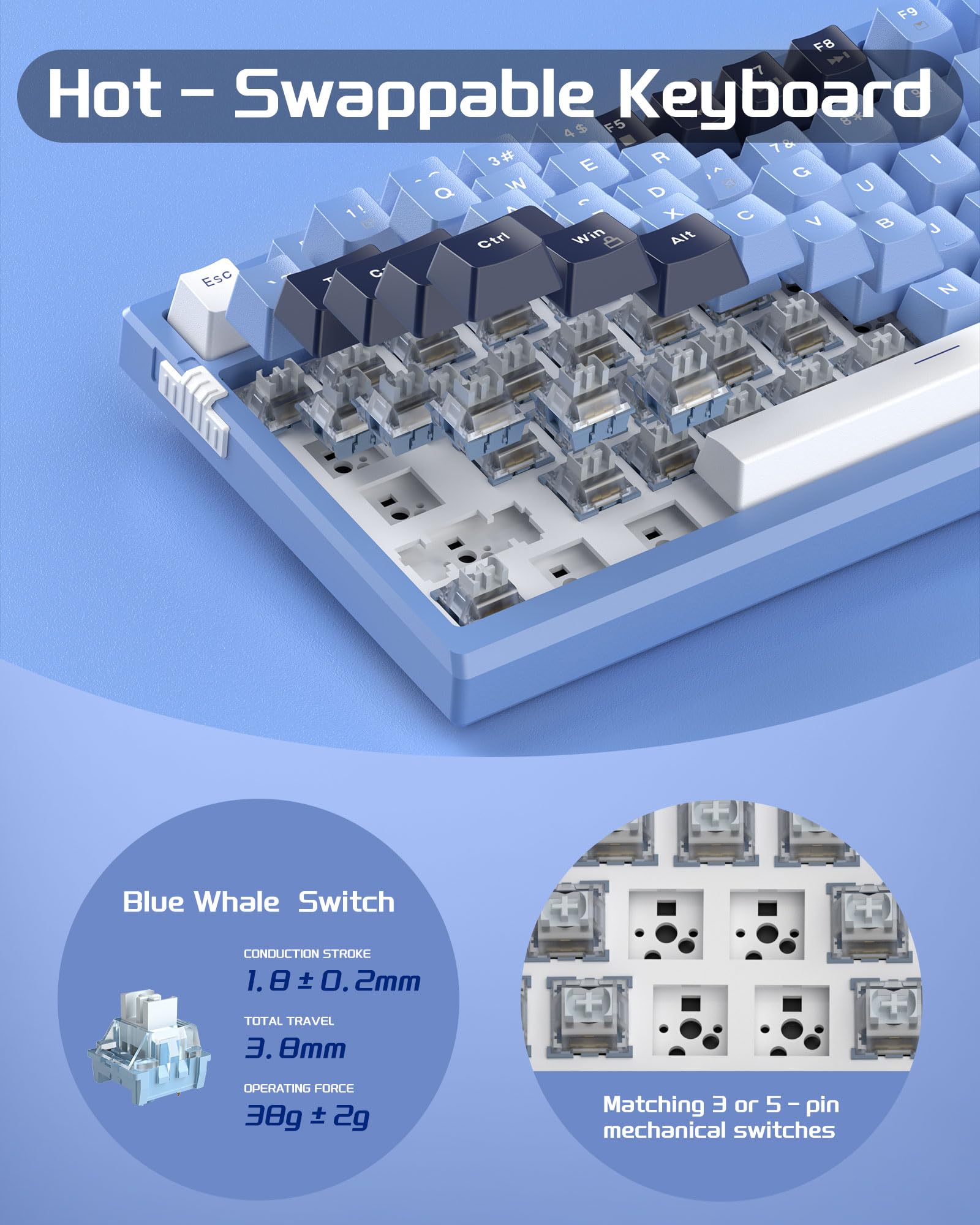 SKY81 75% Mechanical Gaming Keyboard